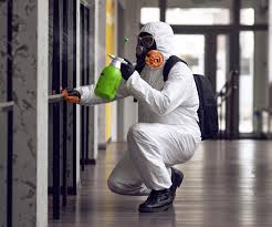 Mold Removal for HVAC Installations